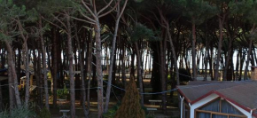 Qark Tirana